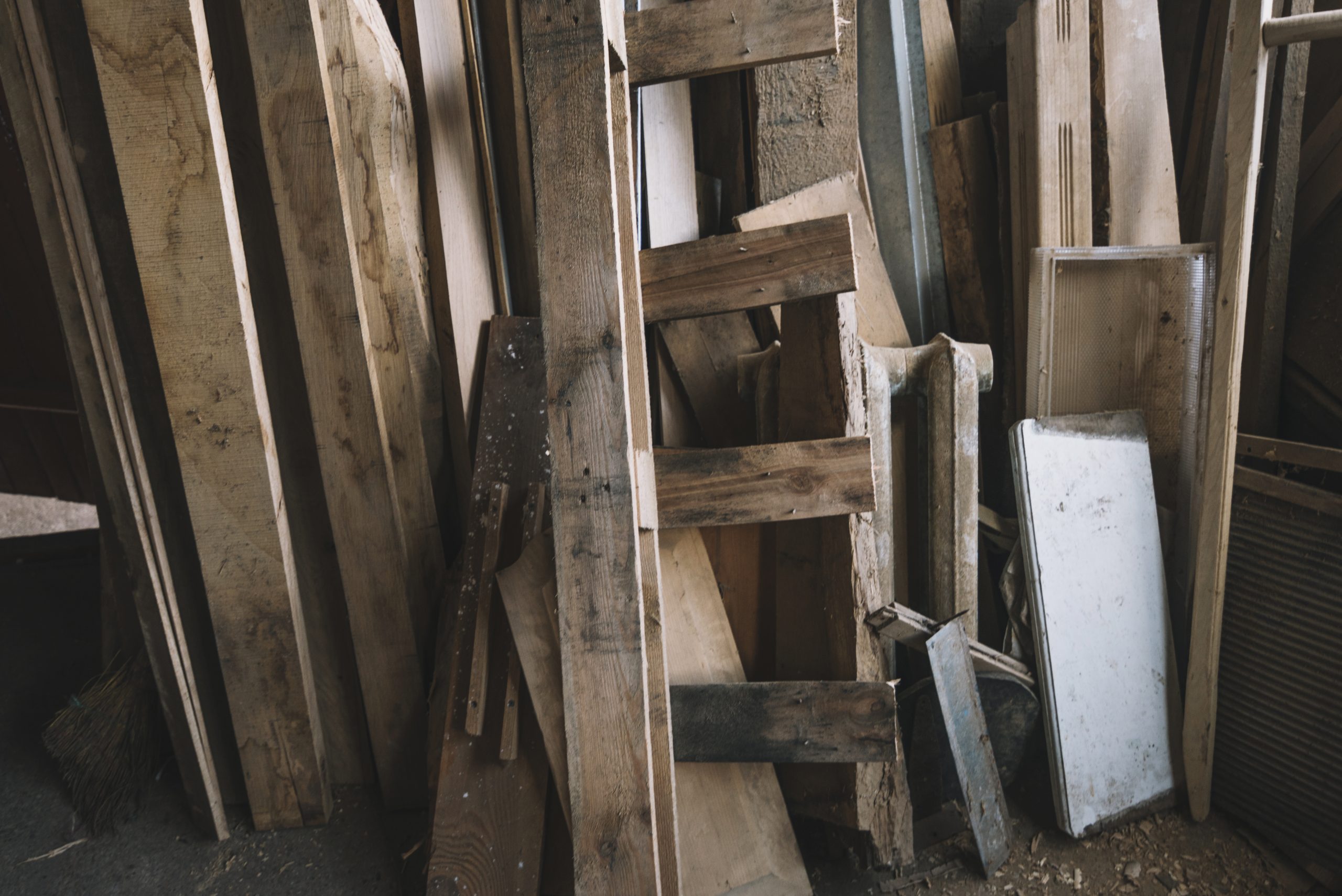 Prevenzione e controllo degli insetti del legno